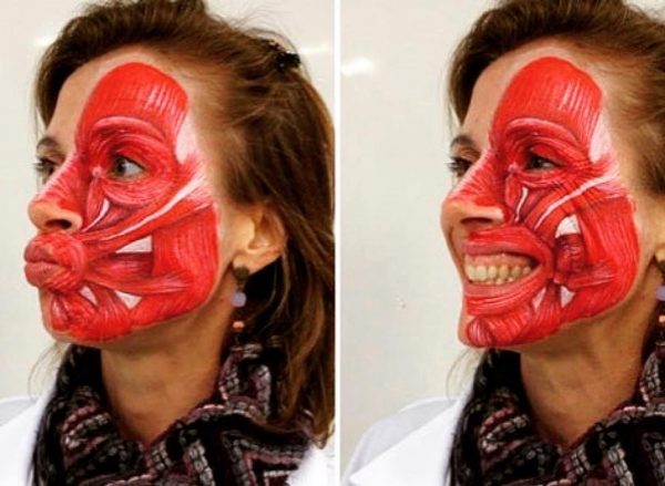 تأثیر عضلات صورت روی رشد دندان